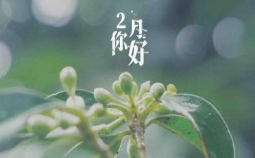 幼儿大班十二月工作总结7篇