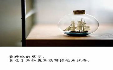 绽放的青春演讲稿5篇
