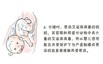 预防艾滋病教育心得体会5篇