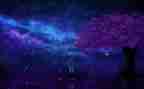 繁星春水读后感500字5篇
