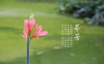 芬芳的话题作文8篇