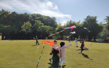 风筝教学教案6篇