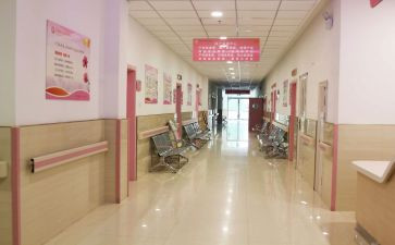 2023年度妇幼工作计划5篇