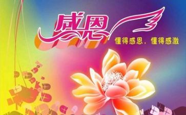感恩教师演讲稿8篇