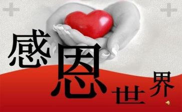 感恩月感恩活动总结7篇