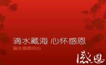 感恩祖国的演讲稿8篇