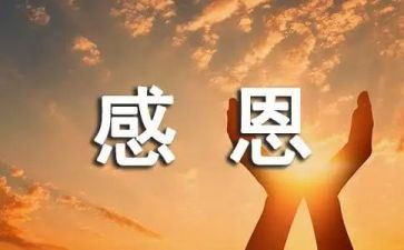 感恩的心演讲稿精选8篇