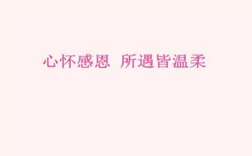 教师感恩演讲稿优质5篇