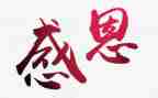 感恩祖国作文300字8篇