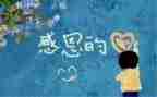 感恩有你作文800字7篇