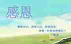 感恩拥有演讲稿7篇
