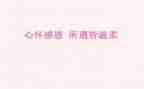 教师感恩演讲稿优质5篇