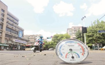 高温慰问活动方案6篇
