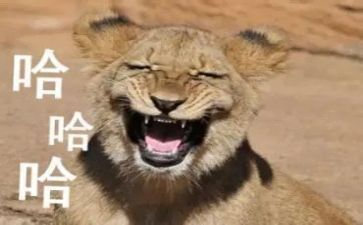 搞笑版作文优秀5篇