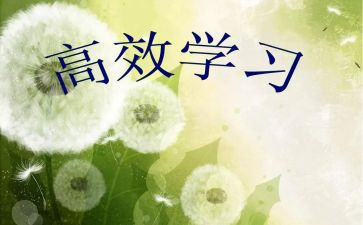 高效团队学习心得6篇
