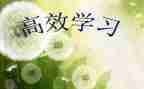 高效团队学习心得6篇