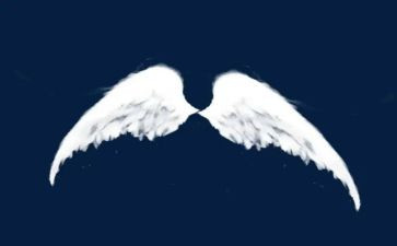 “翅膀”作文优质7篇