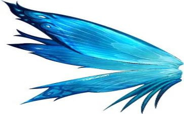 ...的翅膀作文5篇