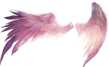 翅膀的话题作文7篇