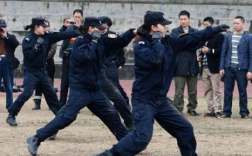 公安工作月工作计划总结6篇