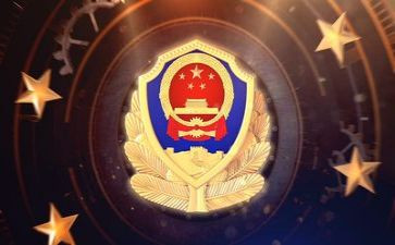 公安个人总结7篇