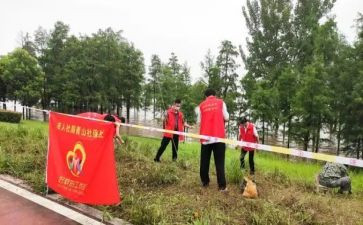 工作队长个人总结6篇