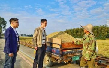 苗木的购销合同5篇