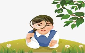 观察水教案优质8篇