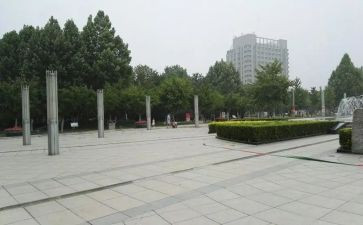 跳广场舞作文400字5篇