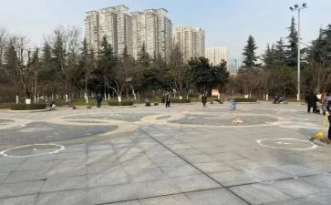 我的乐园小广场作文7篇