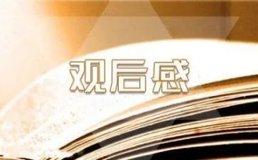 战狼的观后感参考8篇