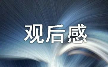 关于礼的观后感优质8篇