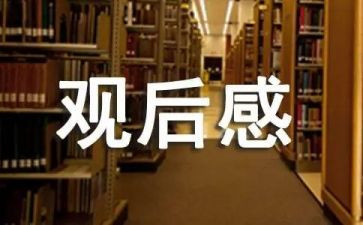 我和我的祖国电影观后感500字作文5篇