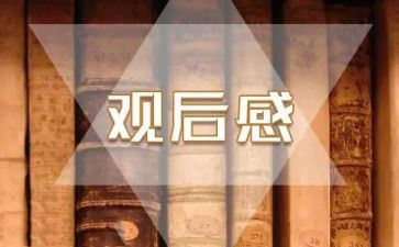 大鱼观后感600字6篇