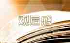 洞的观后感300字优质6篇