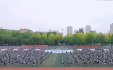 观训心得体会3000字7篇