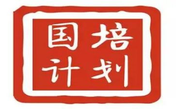 国培计划研修计划优质6篇