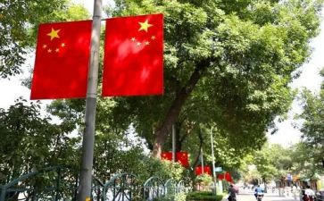 国旗法心得体会8篇