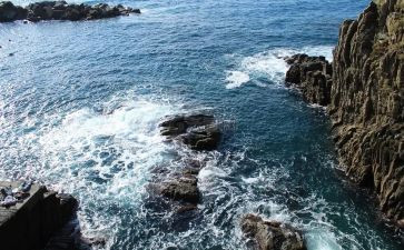 海居租房合同模板模板8篇