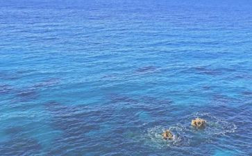 海训先进事迹材料个人优质5篇