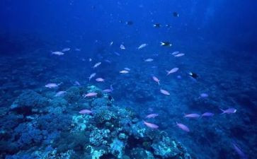 海底连万里读后感优质7篇