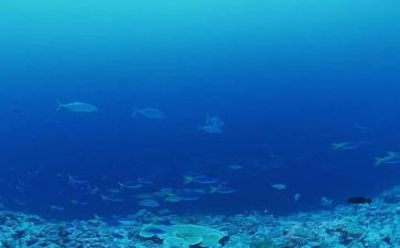 海底两万里的演讲稿5篇