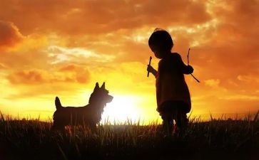 傻孩子读后感推荐7篇