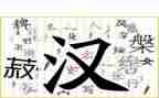写关于汉字的调查报告5篇