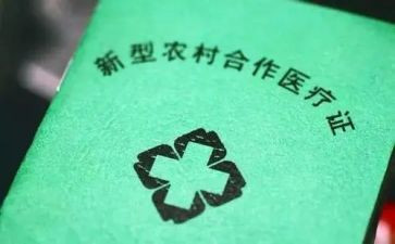 合疗退款申请书8篇