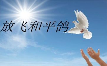 战争和平作文600字6篇