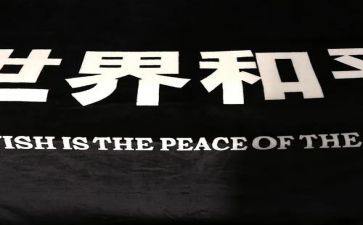 战争与和平法读后感优秀8篇