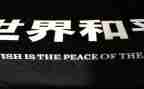 战争与和平法读后感优秀8篇