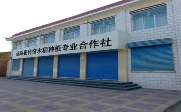 合作社工作总结7篇