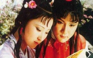 红楼读后感800字作文6篇